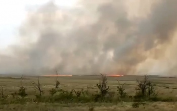 Пожар в Домбаровском районе локализован на площади 1100 гектаров
