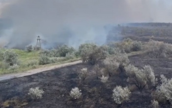 В Домбаровском районе тушат масштабное возгорание на ландшафте