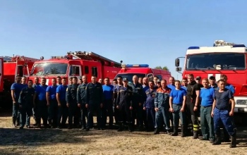 В Домбаровском районе огнеборцы смогли отстоять дома и детский лагерь