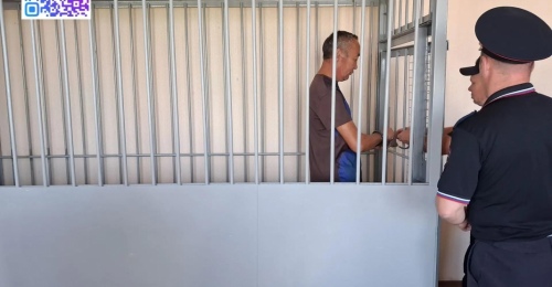 Иностранец, устроивший в Переволоцком районе смертельное ДТП, был пьян (18+)