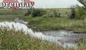 В Сакмарском районе не успела Каргалка набраться после варварского спуска воды, как последовал еще один спуск
