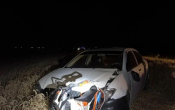 В Бузулукском районе автомобиль «догнал» питбайк под управлением 13-летнего подростка