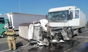 В Оренбуржье на трассе М-5 «Урал» при столкновении двух грузовиков погибли два человека