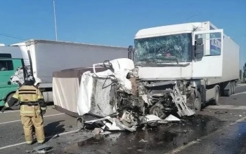 В Оренбуржье на трассе М-5 «Урал» при столкновении двух грузовиков погибли два человека
