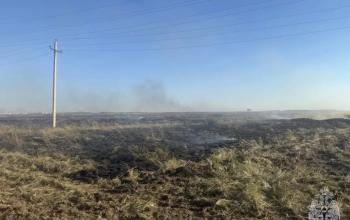 В Адамовском районе потушен пожар, охвативший 3000 га
