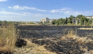 В Орске выгорела степь рядом с жилыми домами