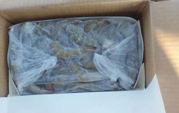 В Оренбуржье задержали 3,2 тонны креветок из Казахстана