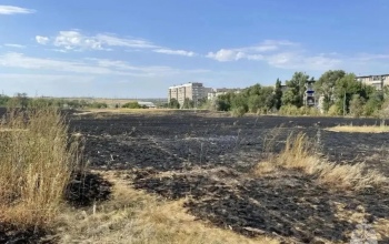 В Орске выгорела степь рядом с жилыми домами