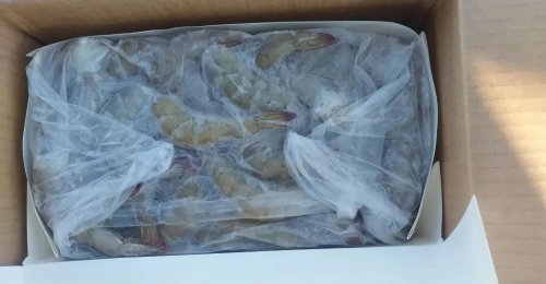 В Оренбуржье задержали 3,2 тонны креветок из Казахстана