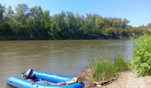 В реке Урал в Оренбургском районе утонул мужчина