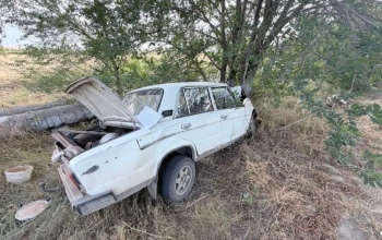 Под Новотроицком слетевший с дороги ВАЗ впечатался в дерево