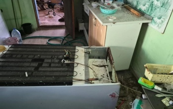 Хотели поиграть и подзаработать: в Переволоцком районе дети обчистили частный дом