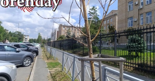 Согласно отчётам, Оренбург превращается в город-сад