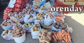 Во сколько нынче обойдётся оренбуржцам запастись овощами на зиму