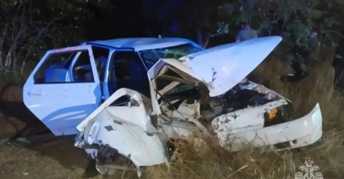В Домбаровке ВАЗ врезался в дерево, потребовалась помощь спасателей