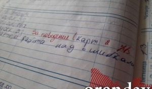 В Оренбуржье до 15 сентября электронный дневник может работать со сбоями