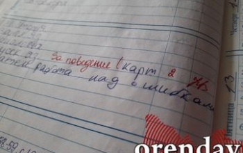 В Оренбуржье до 15 сентября электронный дневник может работать со сбоями