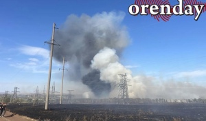 В Оренбуржье вспыхнул ещё один крупный ландшафтный пожар – под Саракташом