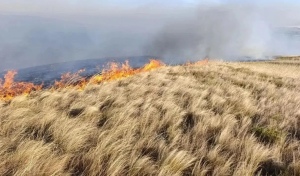 Огнеопасные выходные в Оренбуржье: больше 60 пожаров потушили огнеборцы