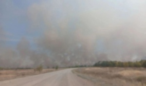 В Новоорском районе перекрыли дорогу из-за плохой видимости