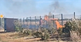 В Оренбургском районе дети подожгли ежа и степь