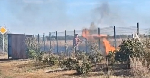 В Оренбургском районе дети подожгли ежа и степь