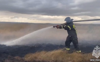 В Беляевском районе с неба сбросили 57 тонн воды для ликвидации крупного ландшафтного пожара