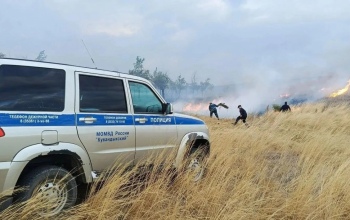 Пламя подошло к домам: в Кваркенском районе ввели режим ЧС и эвакуировали людей