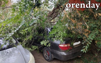 Автомобиль оренбуржца пригвоздило к земле гигантской веткой карагача