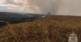 МЧС: пожар в Гайском округе ликвидирован