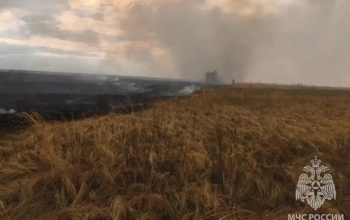 МЧС: пожар в Гайском округе ликвидирован