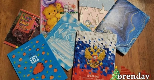 В Оренбурге электронные дневники устали и раньше времени ушли на каникулы