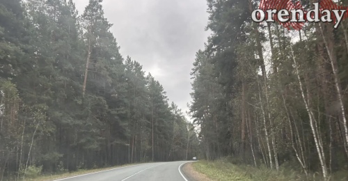 Во сколько оренбуржцам обойдется поездка в Екатеринбург на машине