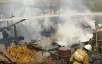 В Краснохолме огонь унёс жизнь малолетнего ребёнка