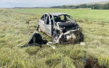 Смертельное ДТП: в Матвеевском районе пенсионер на ВАЗе въехал в дорожный знак и слетел в кювет (18+)