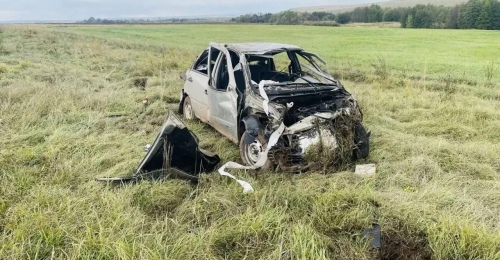 Смертельное ДТП: в Матвеевском районе пенсионер на ВАЗе въехал в дорожный знак и слетел в кювет (18+)