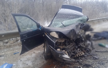 Автоледи, по чьей вине в Илекском районе на трассе погибли два человека, осталась на свободе (18+)