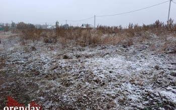 Зима заглянула в гости: чего ждать оренбуржцам от погоды на предстоящей неделе?