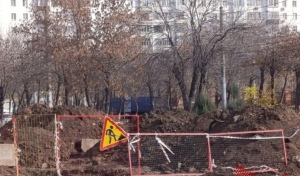 "Свинорои" продолжают мозолить глаза жителям Оренбурга