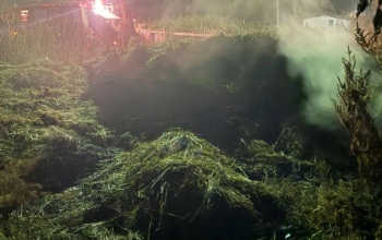 В Гайском округе женщина задержана за поджог 11 тюков сена