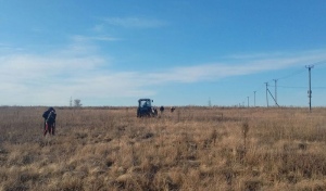 Жители Нижнесакмарского своими руками озеленяют родной посёлок