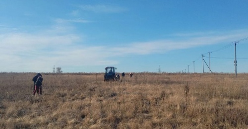 Жители Нижнесакмарского своими руками озеленяют родной посёлок