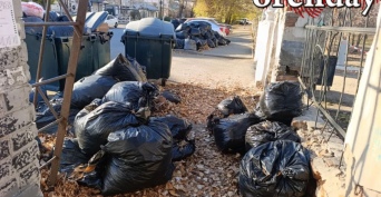 Коммунальщики Оренбурга не всегда справляются с вывозом листвы