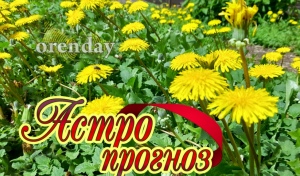 Рыбы и Раки, побудьте наедине с собой, Близнецов потянет к общению, а Овнам стоит устроить себе заслуженный отдых 