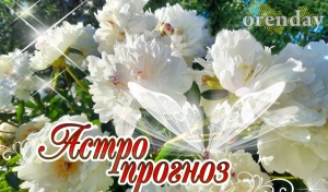 Водолеи, ловите дзен, Близнецам лучше не хвататься за всё сразу, а Львам стоит смело заявить о себе