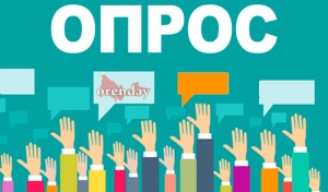 ОПРОС: Как вы думаете, удастся ли новому главе Оренбуржья решить проблему с мусором?