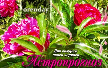 Овны, избегайте всяких излишеств, Козерогам захочется помогать всем вокруг, а Девы смогут легко убедить собеседника в своей правоте