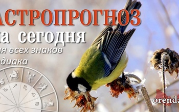 Раки, избегайте переутомления, Девам предстоит роль наставника, а Рыбам грозит смятение