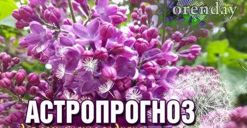 Скорпионы, идите на свидание, к Рыбам может прийти важная новость, а Львам лучше избегать  конфликта с начальством