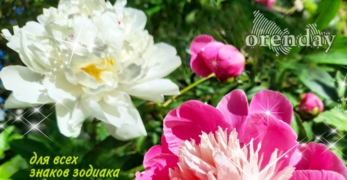 Близнецы будут особенно убедительны, Весам лучше  взять паузу, а Стрельцам энергия звезд благоволит планированию будущего